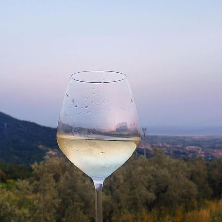 Vinomare Guesthouse Фосдиново Екстериор снимка